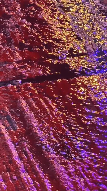 Item #62402000334580523921237358418718502457721815832787791947048085091386946224129 Media