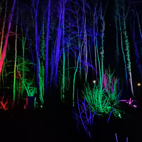 Untitled Collection #49048589