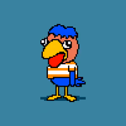 birdnard #721