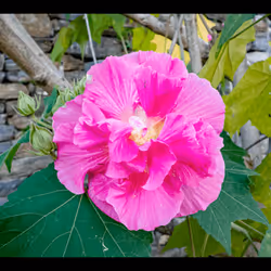 112000724350228495474711911108130364376243231564197861893917070116817731594