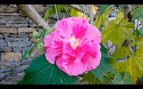 112000724350228495474711911108130364376243231564197861893917070116817731594