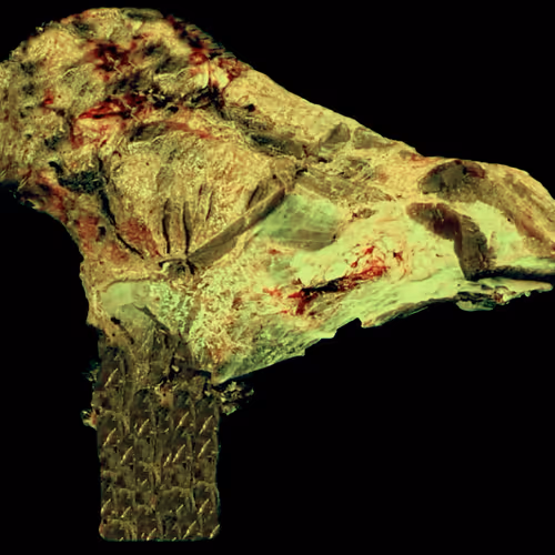 18063966590187803564983313972252836895288362682890717819958697138404255072257