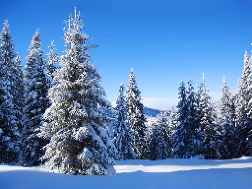 Item #20509465438609277551874808861244890758591647001332639405873676869317985042532 Media