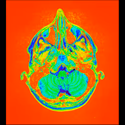 64162533542198579898252916190583583845604629893829087458582975805166133968897