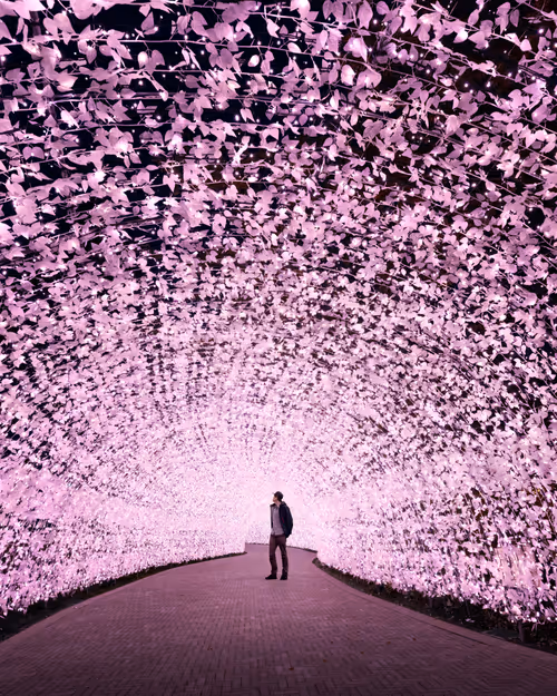 Item #81365922554281880143414136761733390581567018146899571572498285353236061749249 Media