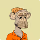 web3rugged