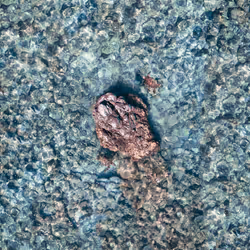 100600280271040798317723628260513137156606623100883316454227272224423779762177