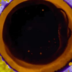 32000915767808189909713509440499411710325983035558635769524052860081652367361