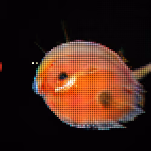 Item #93923887731966639760197662534300547726212510779526051617655967365691680489473 Media