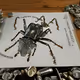 70056274724119399532217688918034372937332837579963153817885066081267936657409