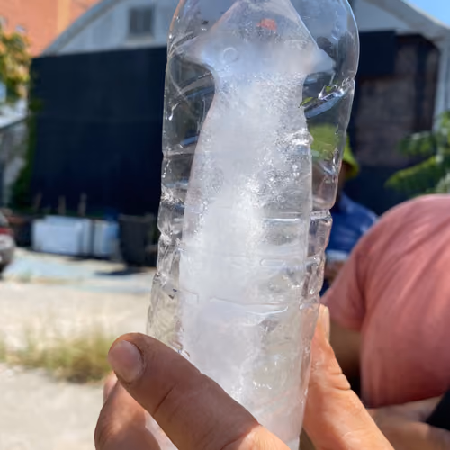 ICE DICK
