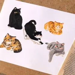 CATS IN ETHEREUM 