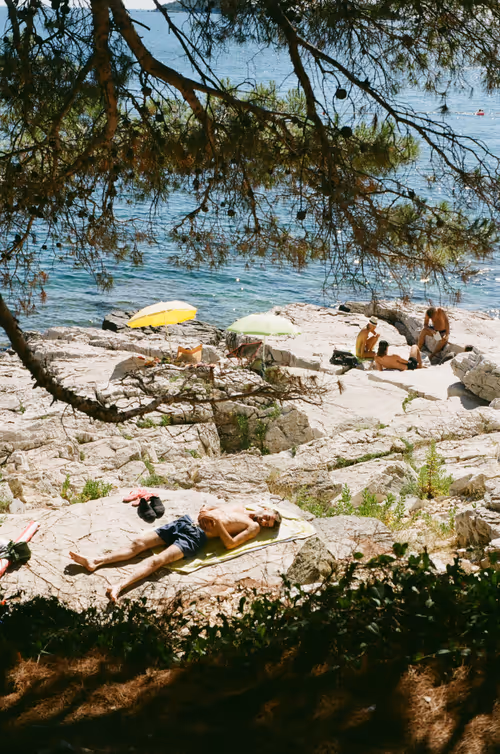 Item #63628819602780504454206795280933286782738899794845292107570097820711933444097 Media