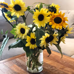Some nice flowers that I got