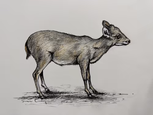 Item #4288309145407295523431116215122397111529594114986911850026632798052294852658 Media