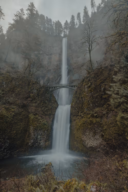 Item #66238051181761595307184186966645763884629250056383602448065297984002967207937 Media