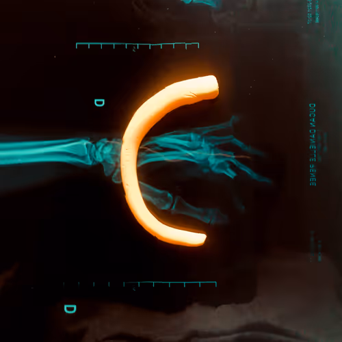 42502377884493822439484110895335049498054174976923948741203377793278484152321