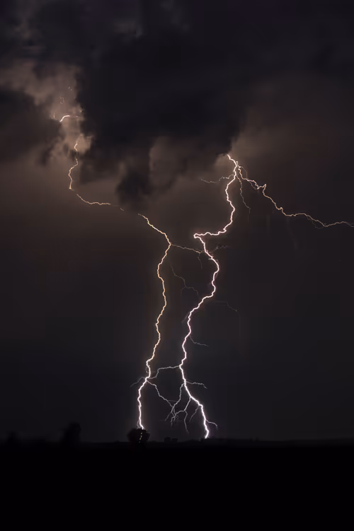 Item #76753609557618040316569819233018688954602367077882329360874187567608341987329 Media