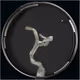 15641104039442010496619159376682431198032097041889047805850969863644883451905