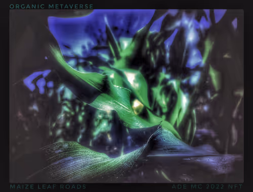 Item #3787080761074609709675817509753112159059746763483256848434353556696896372741 Media