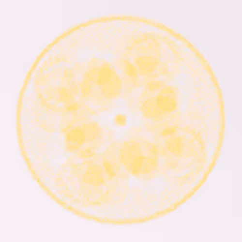 Item #56973419019861600765457047389383188289079904378367063993006434967726889893889 Media