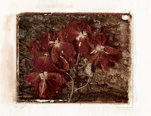 Item #28642289610413535734296160925975093096558758870368473952224142154536251817985 Media