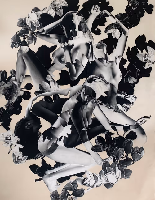 Item #10317993426962188163167156868226158369917822806902099922822142617174444867585 Media