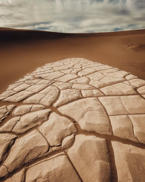 Item #4015407752300364533452678747912321307133041258187258919128982356885243953153 Media