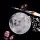 76049346721307977323191589712099018508208252544948365289406765058583934533633