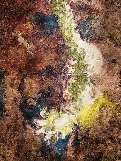 Item #69261177602478584146078213691104273677815526894191982293268527779277046808577 Media