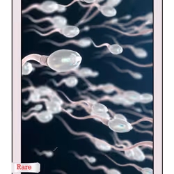 64983343354440460478949369577107733247942492091796441794851447361034459807754