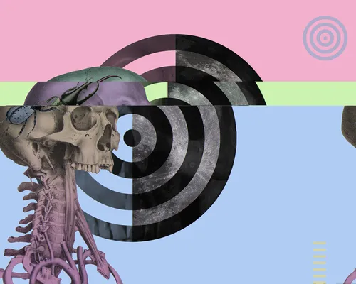 Item #35840554908858042387564385056398967734986343410727533732991908483417717604353 Media