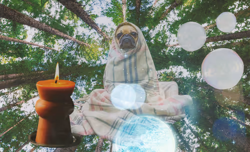 Item #49174666910166564779922856925235532419926271386136280699772621389574103367681 Media