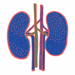 28824502245252267217549902857601847351510039266873569823091148253587876872193