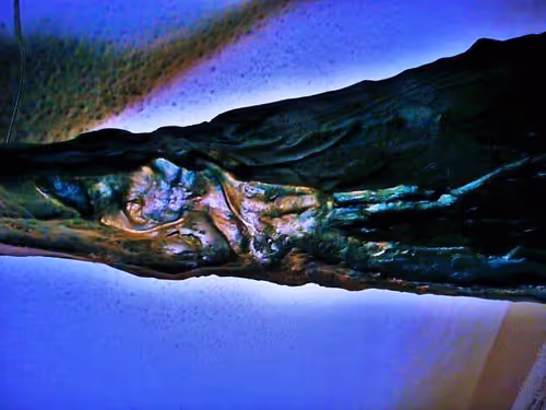 Item #106088272976837957622692016979005149737682721822220582827687527755293640359937 Media