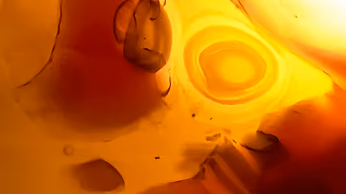 Item #101722242459461766671850244672997948412133570446471513908012687112117405351937 Media