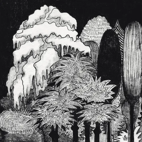 Item #115384325973732380609979757337500050851595561072670650896843332704103756201985 Media