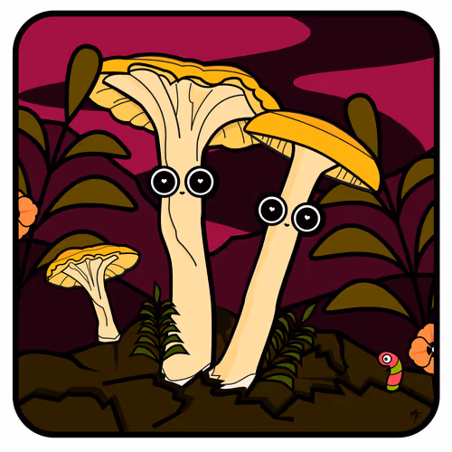 Item #66492061377330858312394959550715582150063143788271338571324127785780072415233 Media