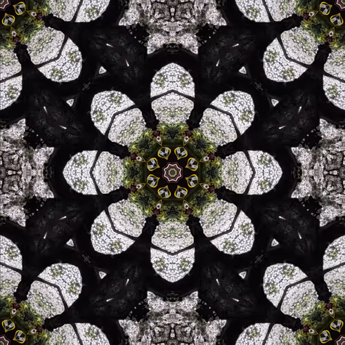 Item #12905120888752978903719114743399414856969811904726015832161736273503927140353 Media