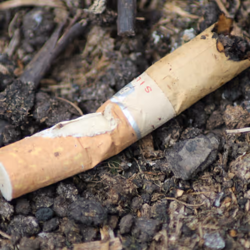 51124555051901614330264480006545612592022390906904121289505624507433143500801