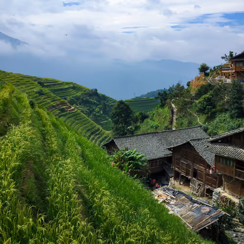 Corners of Asia #12: Longsheng Rice Terraces, Dragons Backbone 
