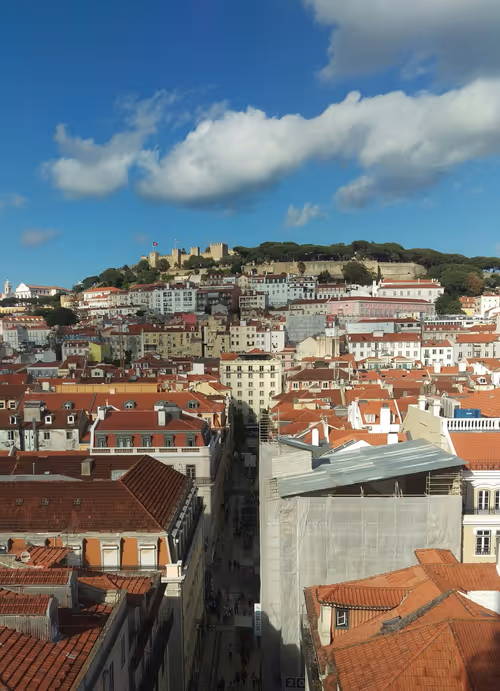 Item #113915635363529418532820506639039462677143782385450590851576059213121534820353 Media