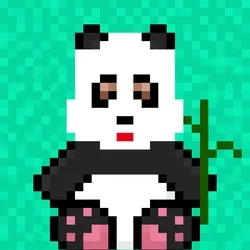 Baby Panda