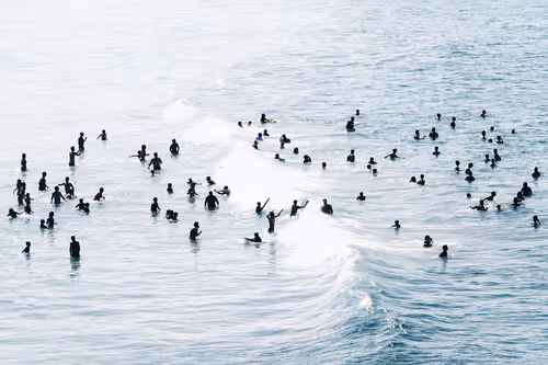 Item #113106517295801719263541253605561877557080643982296006819616818953096011972609 Media