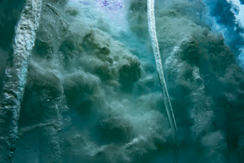 Item #19717472655541438358875111876949792254809295352552867053113992370204732030977 Media