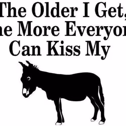 Crypto Meme Age