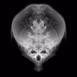 85859191866638808365331437874953228966785819470149775310971063180152505630721