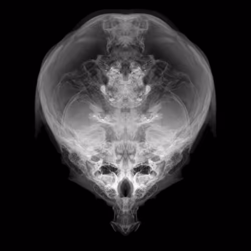 Item #85859191866638808365331437874953228966785819470149775310971063180152505630721 Media