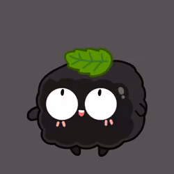 Black Jelly