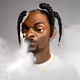 Celebrity Punks 3D